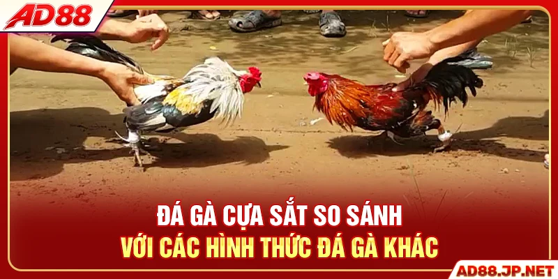 Đá gà cựa sắt so sánh với các hình thức đá gà khác
