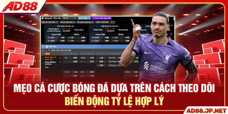 Mẹo cá cược bóng đá dựa trên cách theo dõi biến động tỷ lệ hợp lý